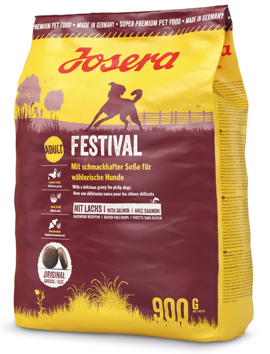 Festival