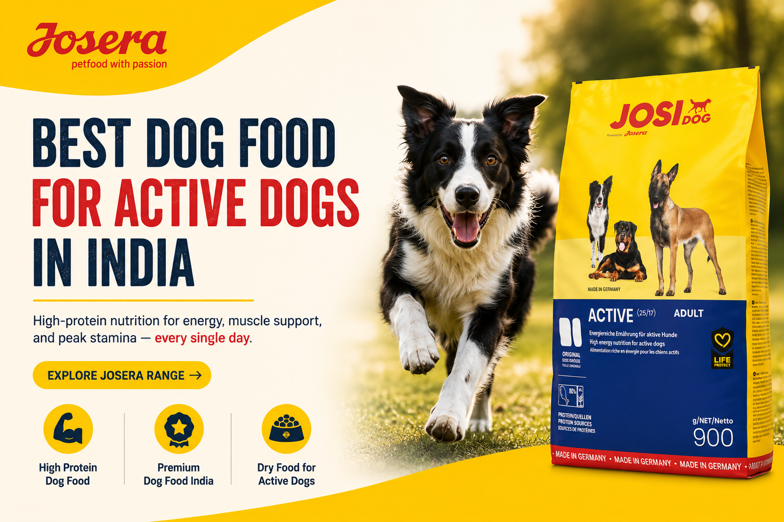 Best Dog Food for Active Dogs in India: Fuel Their Energy, Protect Their Strength