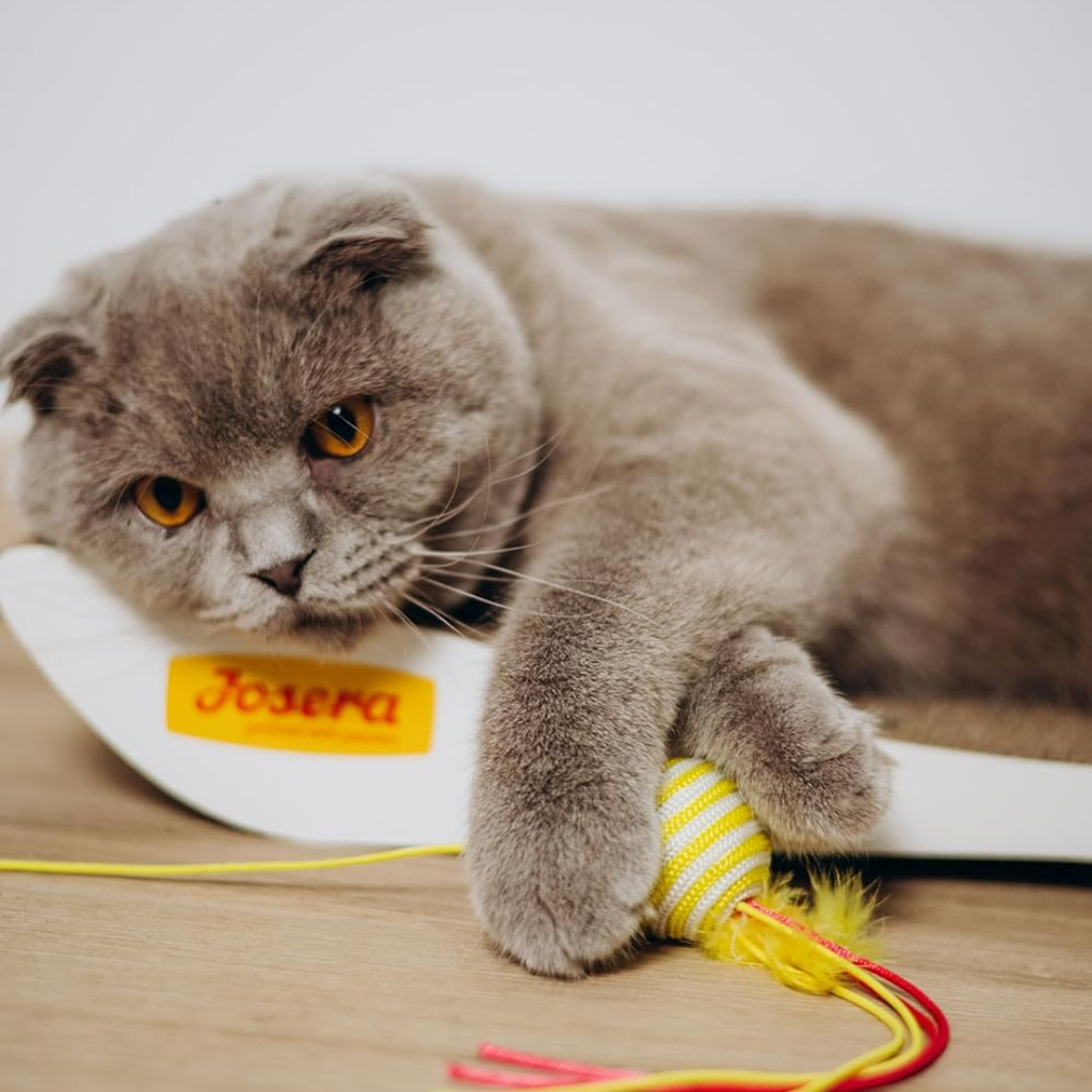 JOSICAT CRUNCHY CHICKEN