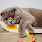 JOSICAT CRUNCHY CHICKEN