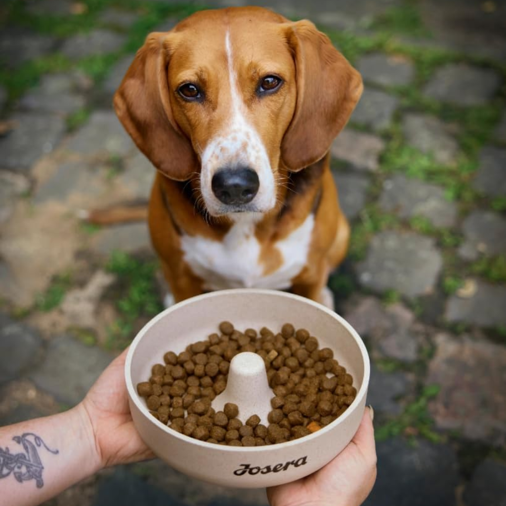 JOSERAHIGH PROTEIN SEA FISH DOG FOOD