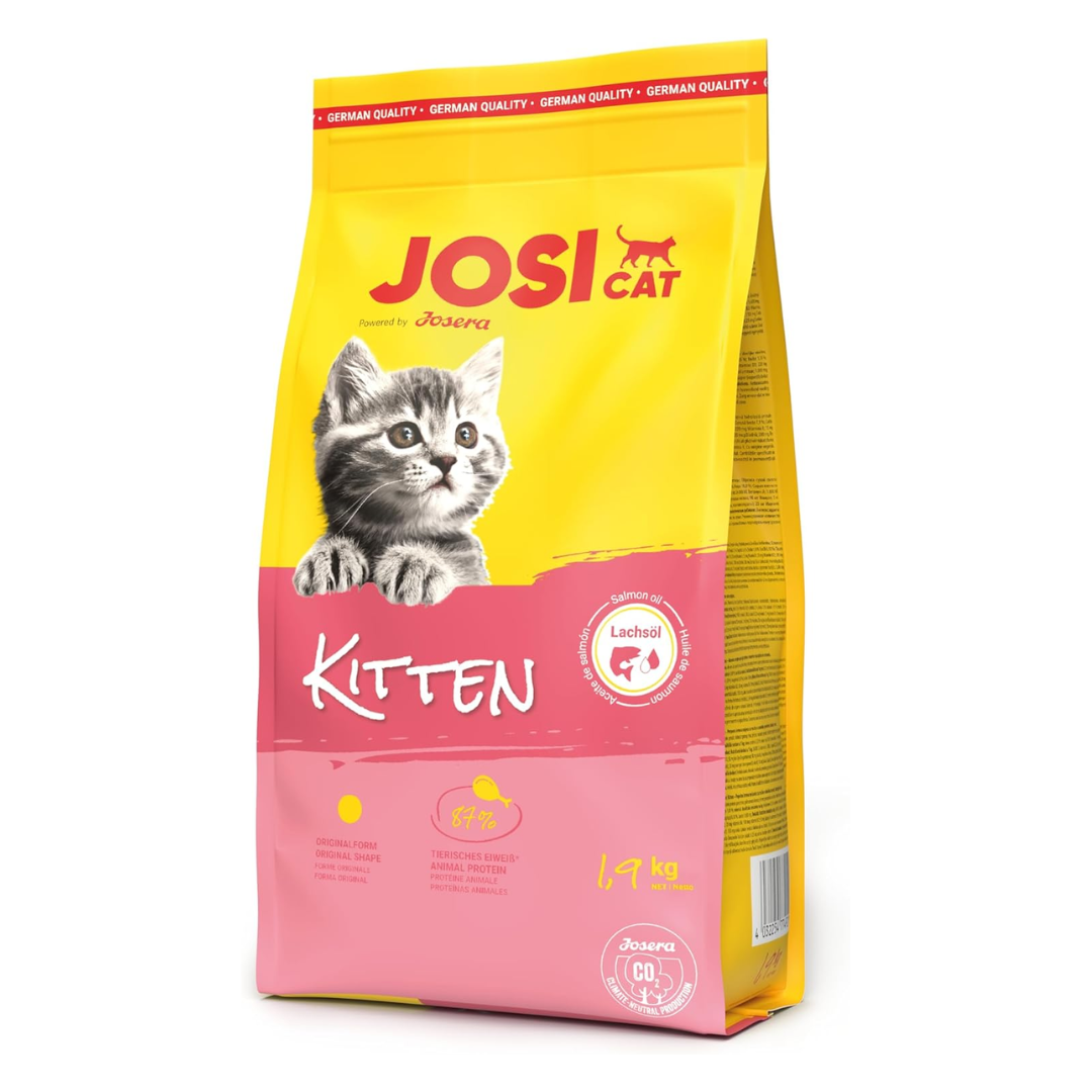 JosiCat Kitten