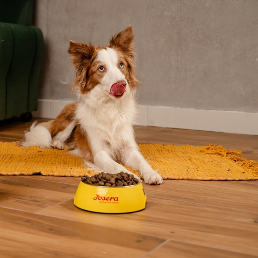 Josera Dog Feeding Bavaro Force