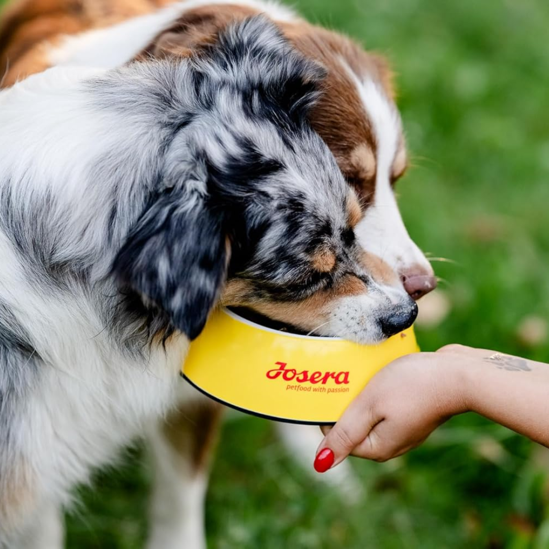 Josera Dog Feeding Bavaro Force