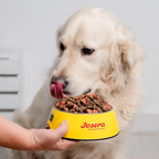 Josera Dog Feeding Bavaro Force