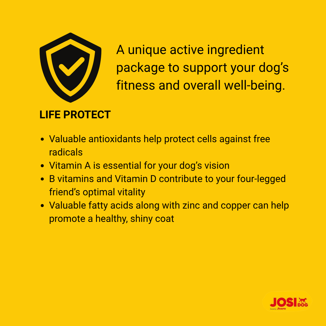 JOSIDOG ACTIVE