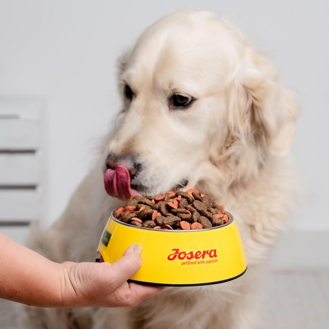JOSIDOG ACTIVE