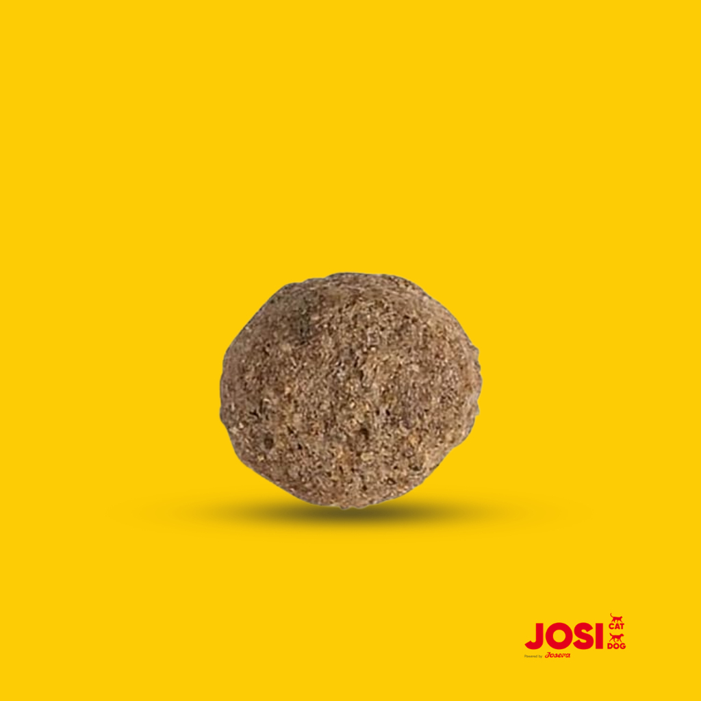 JosiDog Economy