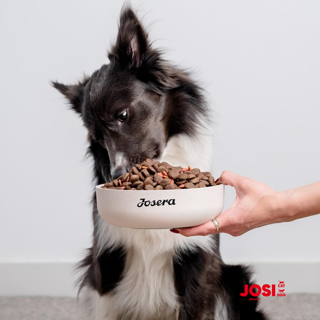 JosiDog Mini