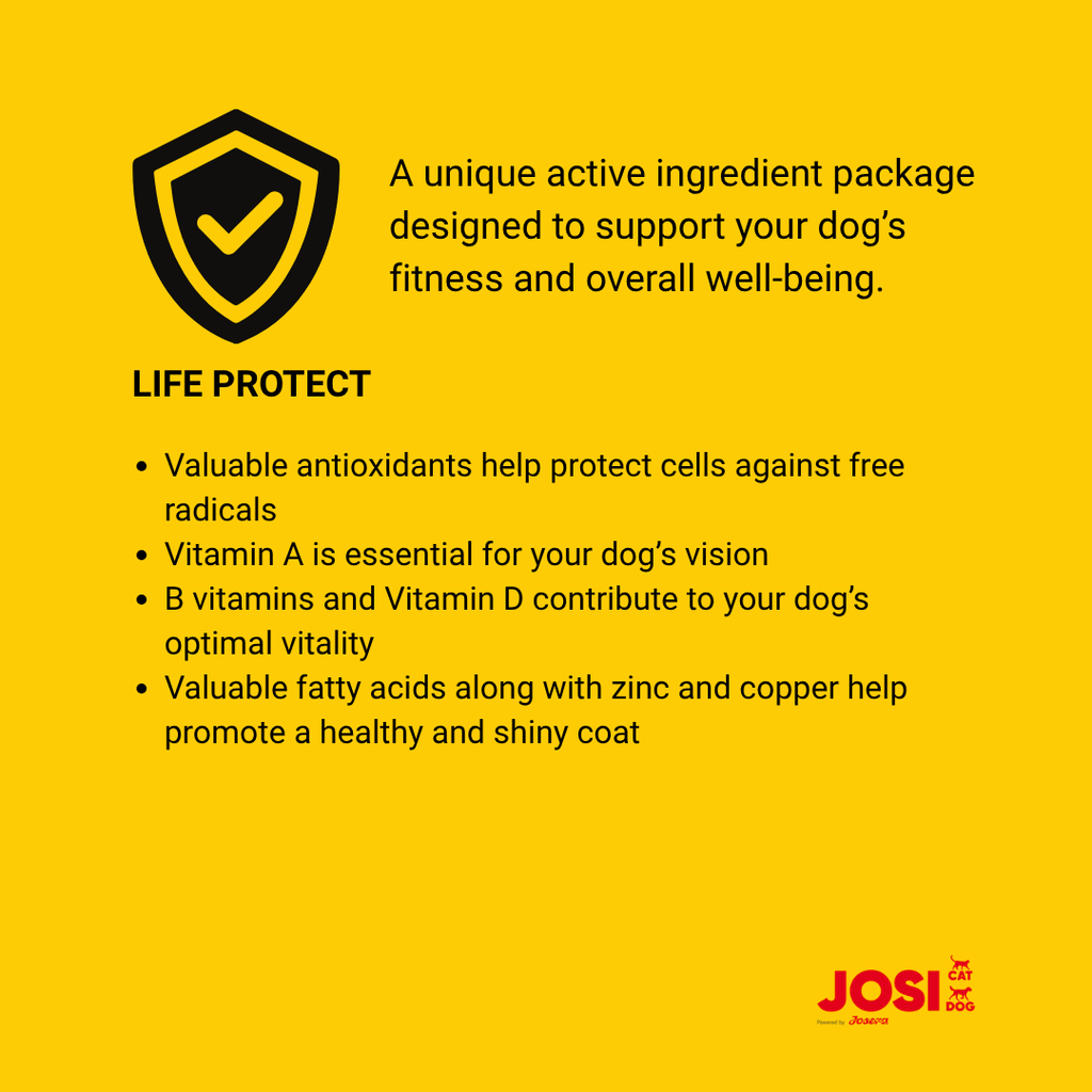 JosiDog Mini