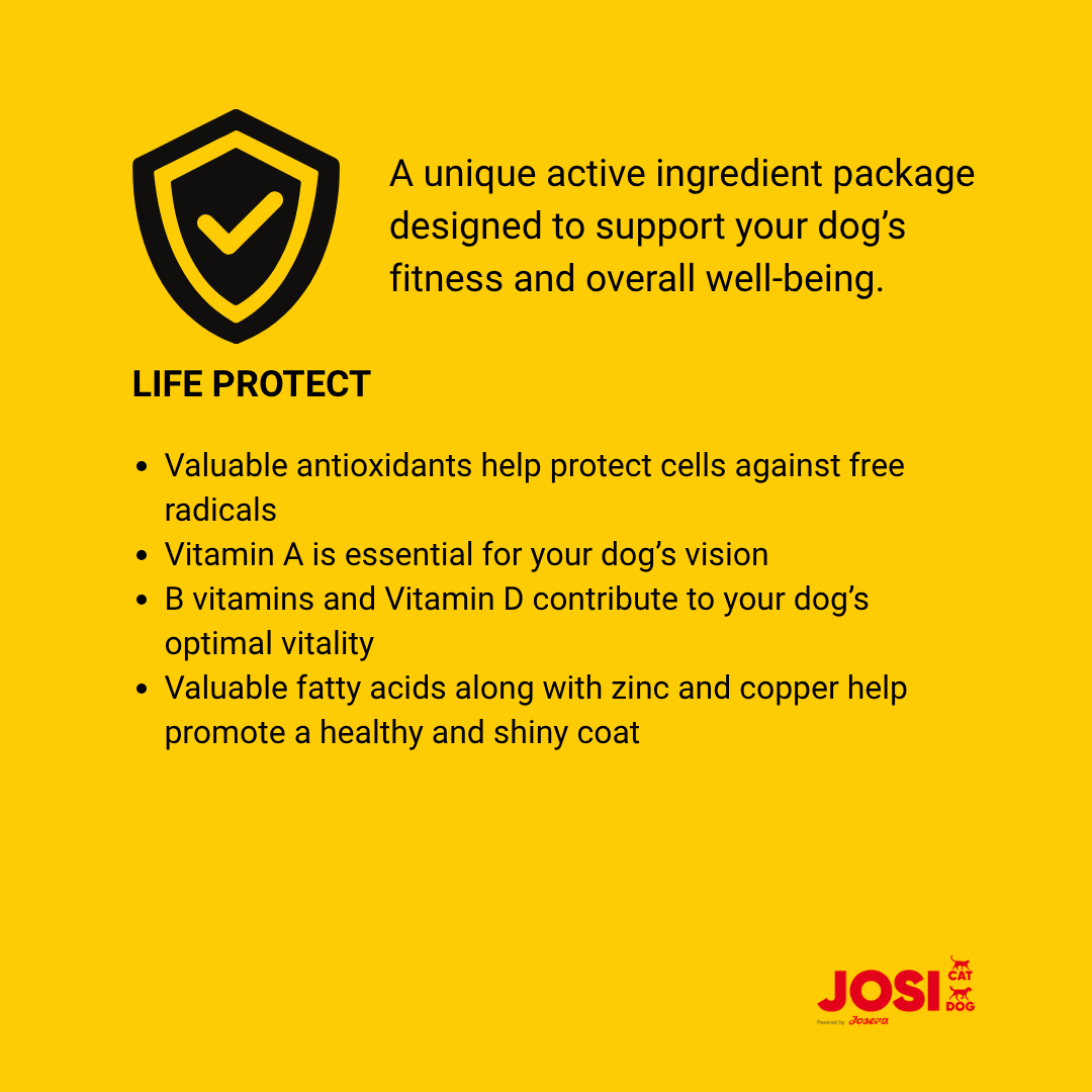 JosiDog Mini