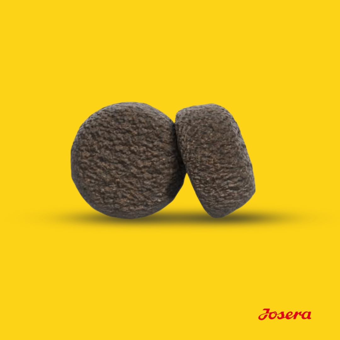 JOSERA JUNIOR DUCK & POTATO