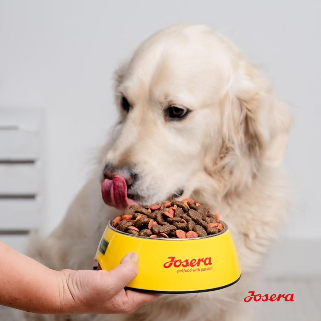 JOSERA JUNIOR DUCK & POTATO