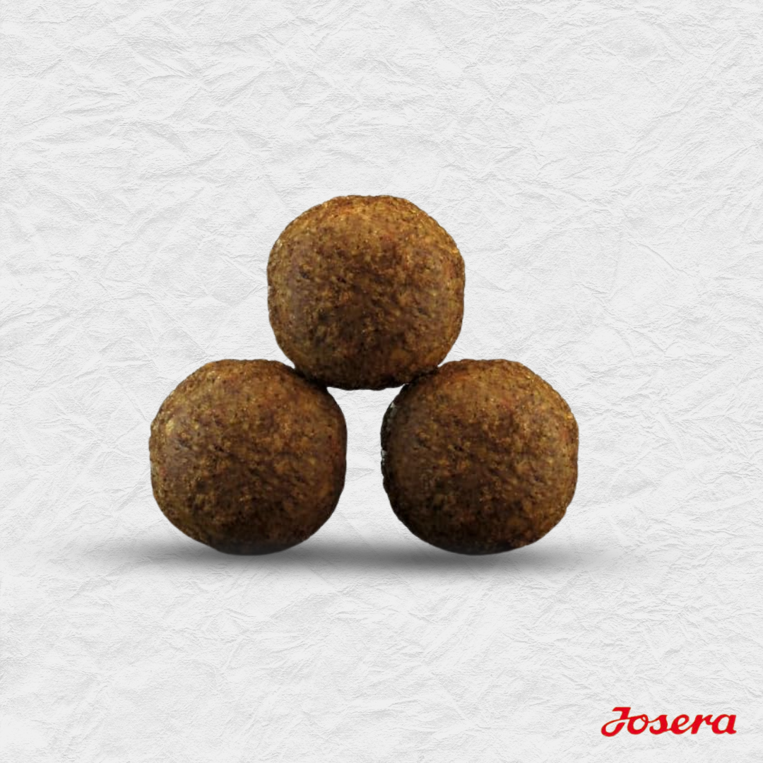 JOSERA KITTEN GRAINFREE