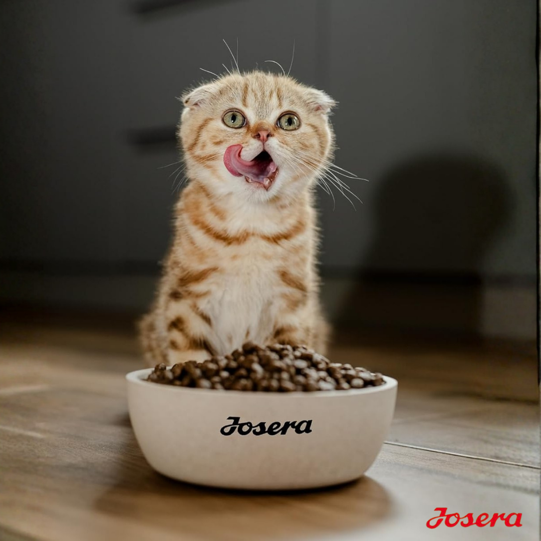 JOSERA KITTEN GRAINFREE