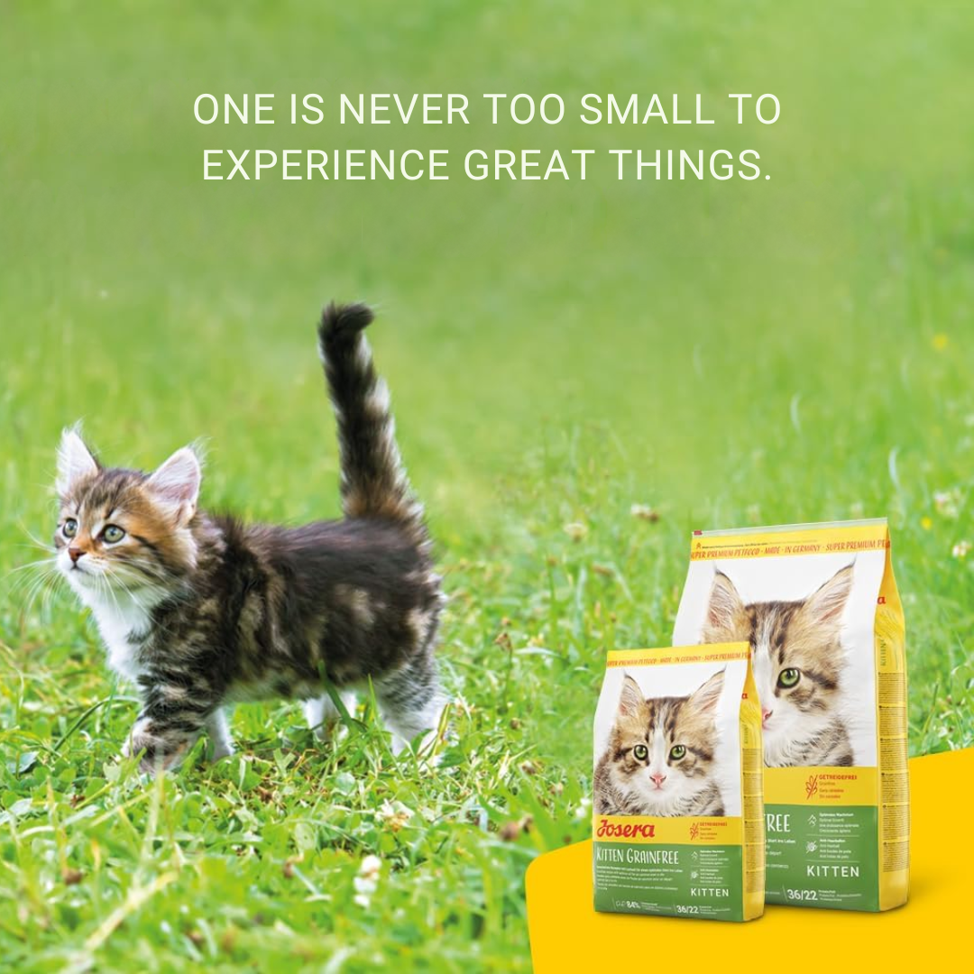 JOSERA KITTEN GRAINFREE