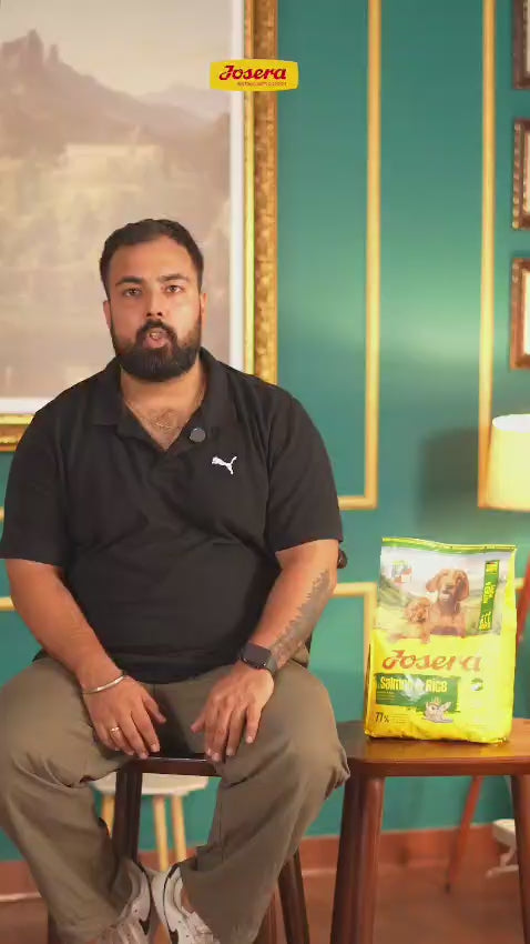 WhatsApp Video 2026-07-14 at 2.26.20 PM.mp4